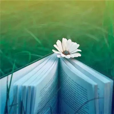 苹果扩大美国制造计划,新增四家合作伙伴