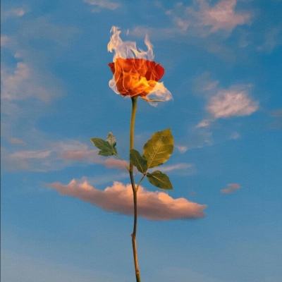 陶氏公司亮相2026慕尼黑上海电子...