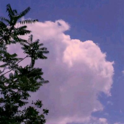 多宝平台（官方）综合娱乐APP下载